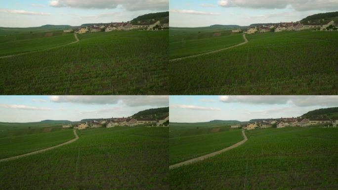 无人机飞过绿色的葡萄园。法国用葡萄酿制的葡萄酒葡萄园的电影航拍镜头。无人机拍摄的美丽葡萄园，乡村美丽