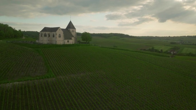 无人机飞过绿色的葡萄园。法国用葡萄酿制的葡萄酒葡萄园的电影航拍镜头。无人机拍摄的美丽葡萄园，乡村美丽