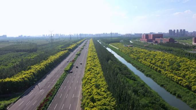 高速公路 国道 道路风景 道路绿化