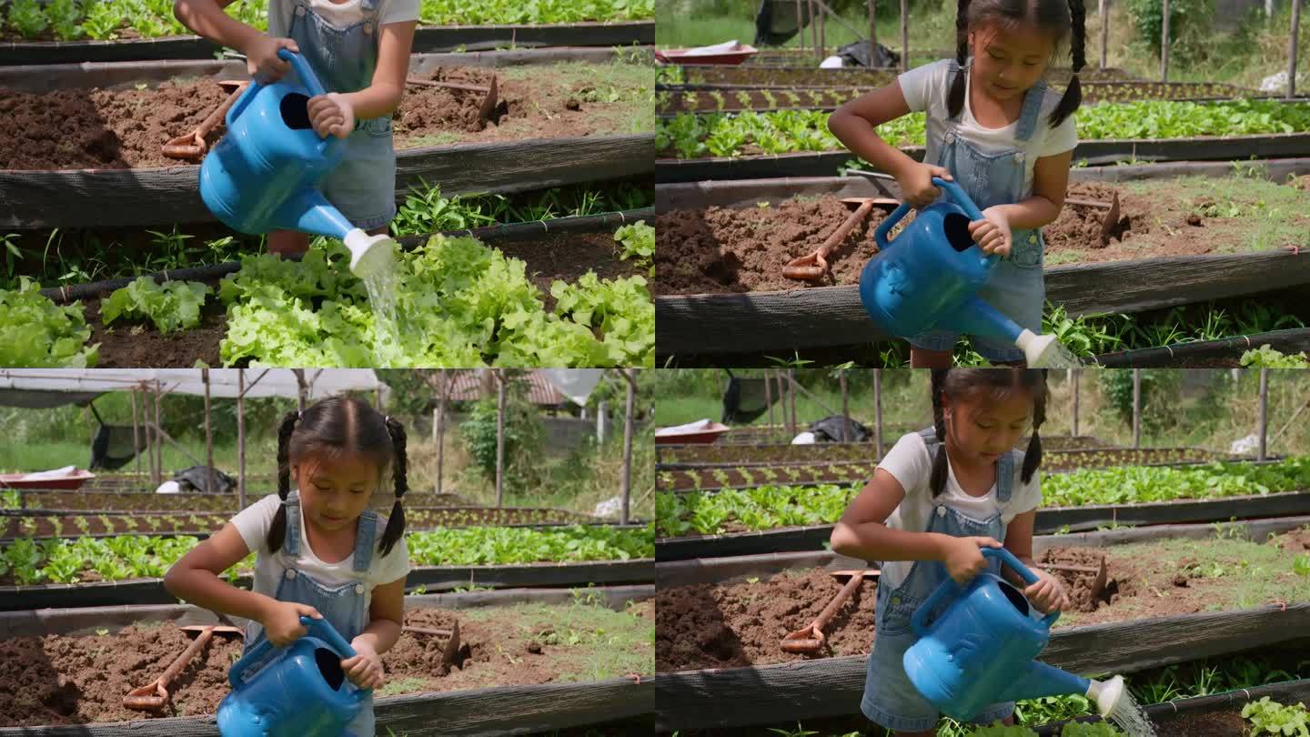 女孩用喷壶给菜畦浇水。手持拍摄的