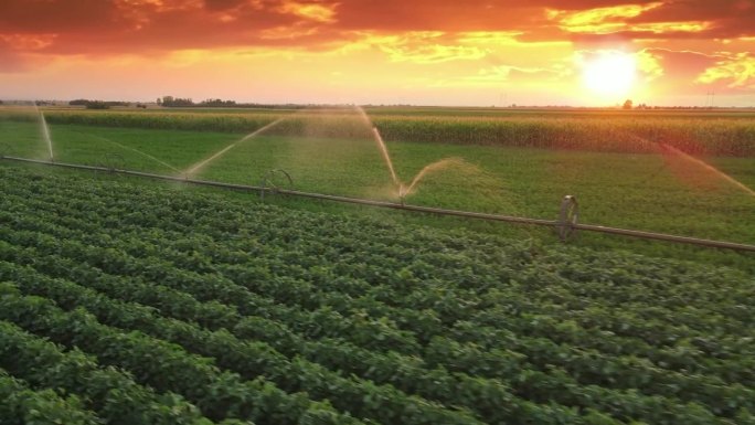 无人机拍摄的日落大豆农田灌溉系统