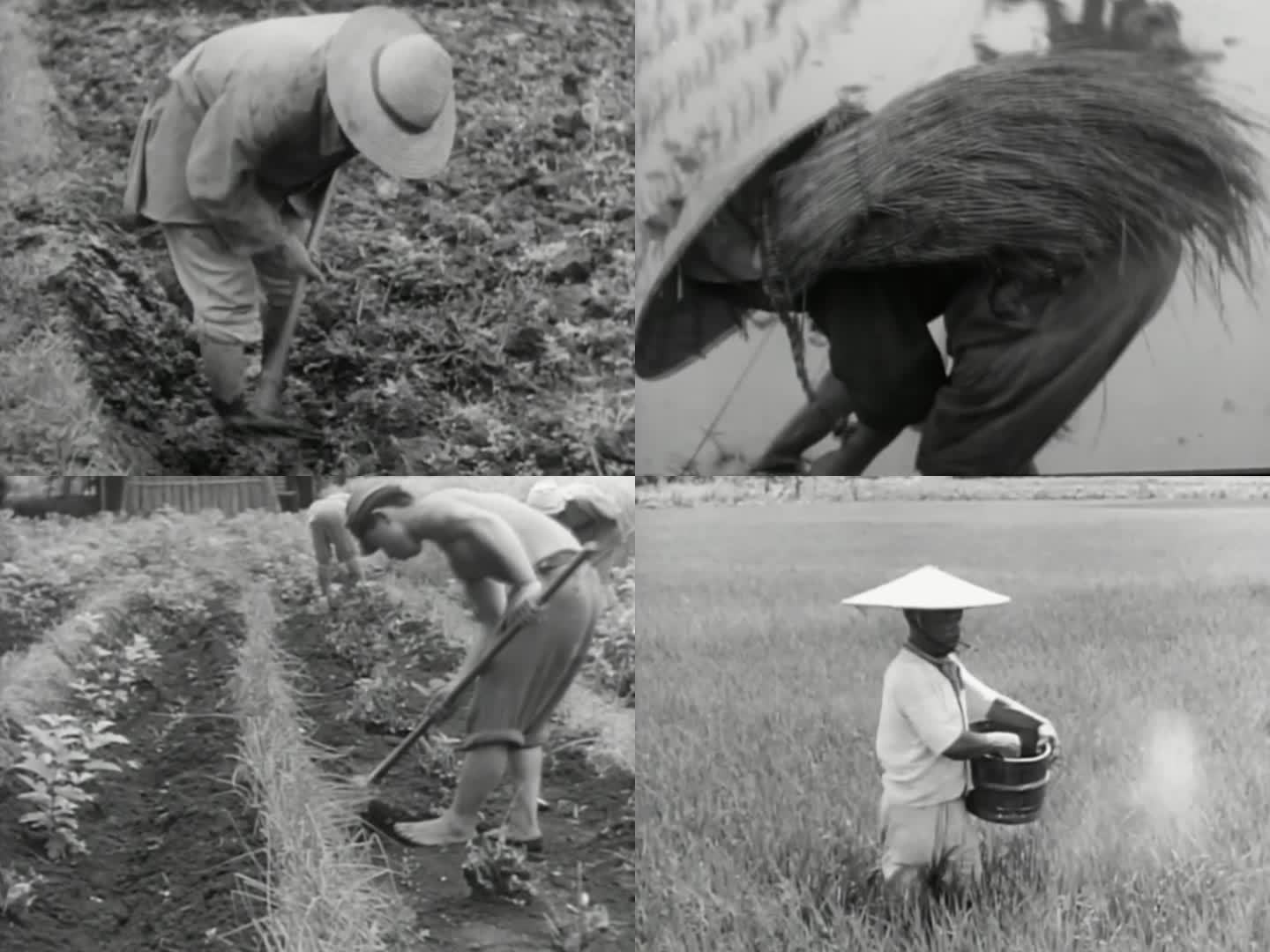 40年代 50年代 农业 日本农民