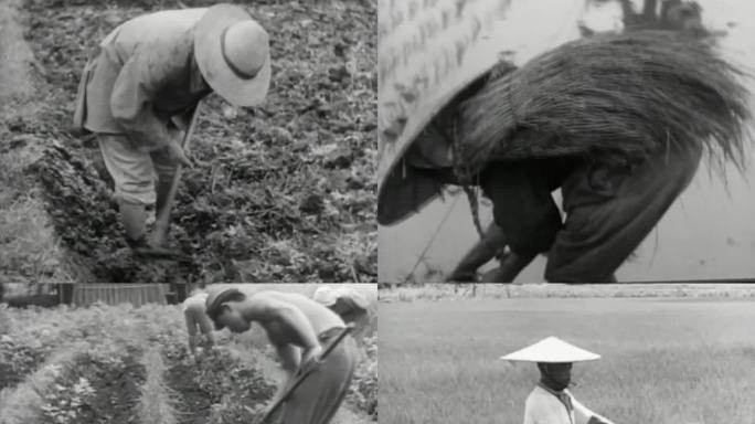 40年代 50年代 农业 日本农民
