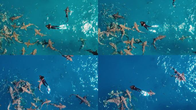 亚洲中国女性浮潜吓得一群在马尔代夫海域游泳的鲨鱼
