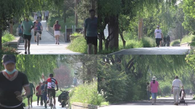 骑自行车绿道公园晨练户外氧吧退休生活健身
