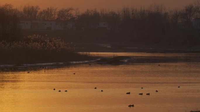 夕阳下的河流 波光粼粼 夕阳