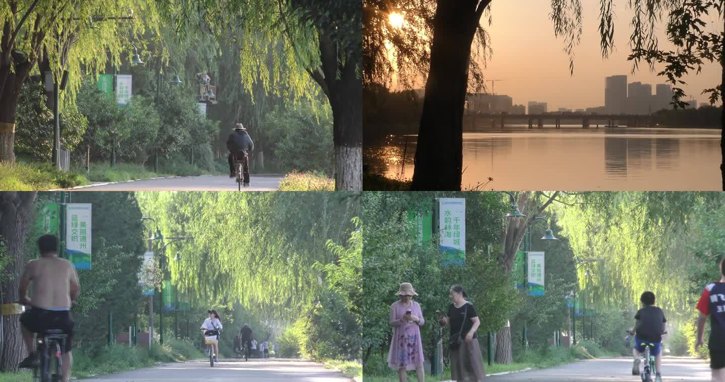 骑车晨跑散步老人晨练运动河边公园生活方式
