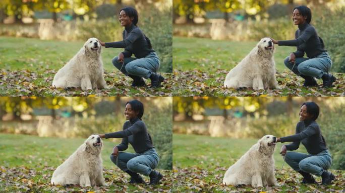 一名妇女带着宠物金毛猎犬在秋天的乡村散步