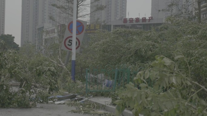 台风后的厦门重建工作