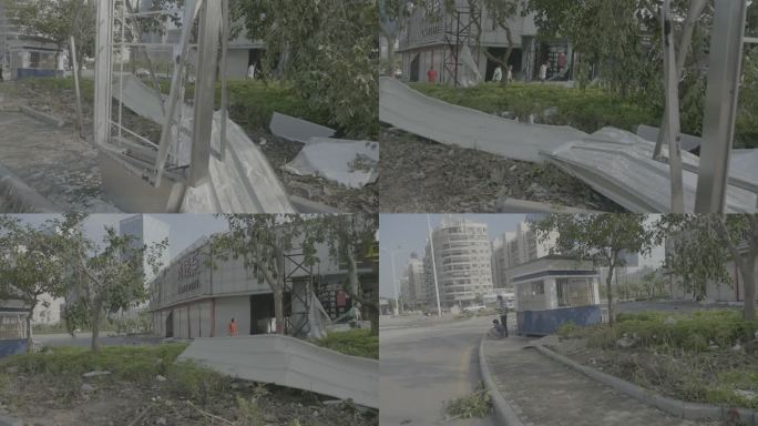 台风后的厦门重建工作