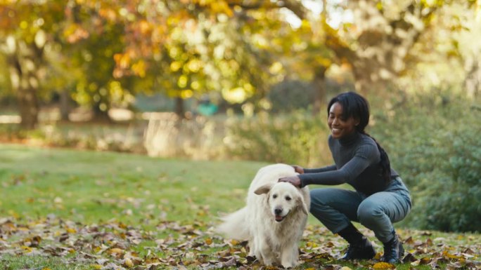 一名妇女带着宠物金毛猎犬在秋天的乡村散步