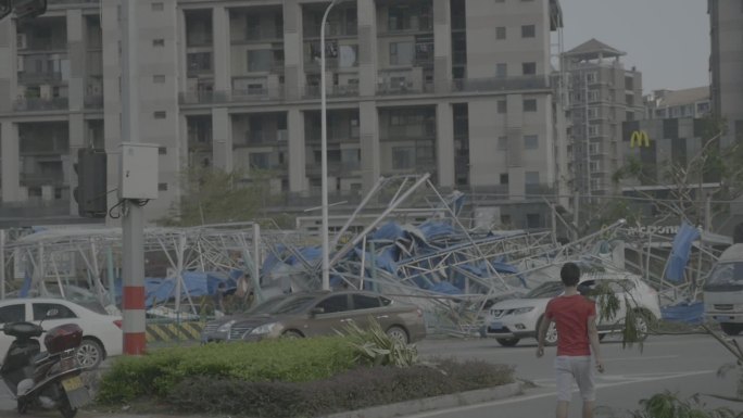 台风后的厦门重建工作