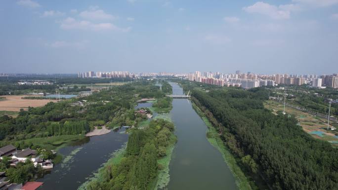 江苏宿迁城市建设绿化植物航拍