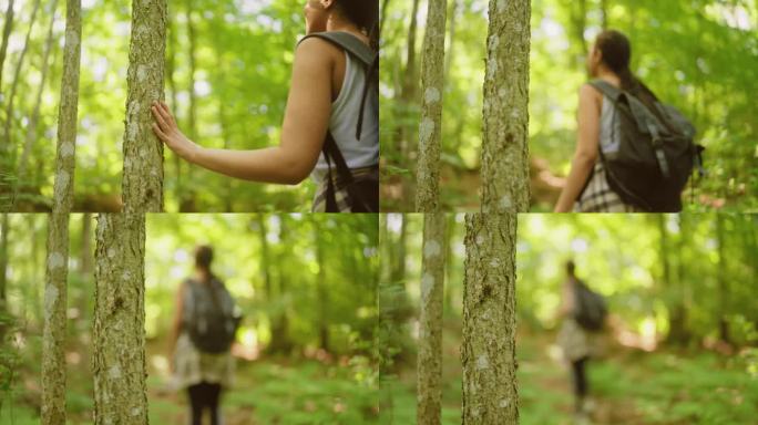 一只手抚摸着森林里的一棵树，一个女人走过
