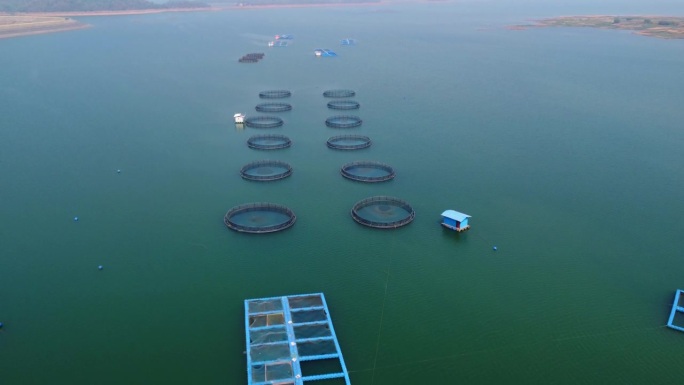 深海大型圆形网箱中商业鱼虾养殖的航拍图