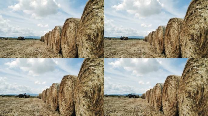 意大利的农业活动:拖拉机收集干草捆