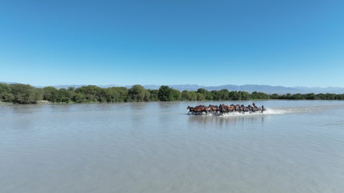 新疆昭苏湿地公园天马浴河航拍素材