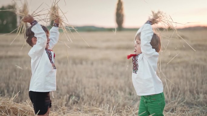 乌克兰的小孩在玩干草，把它扔了。快乐的童年。收获后在麦田里欢笑的男孩们。