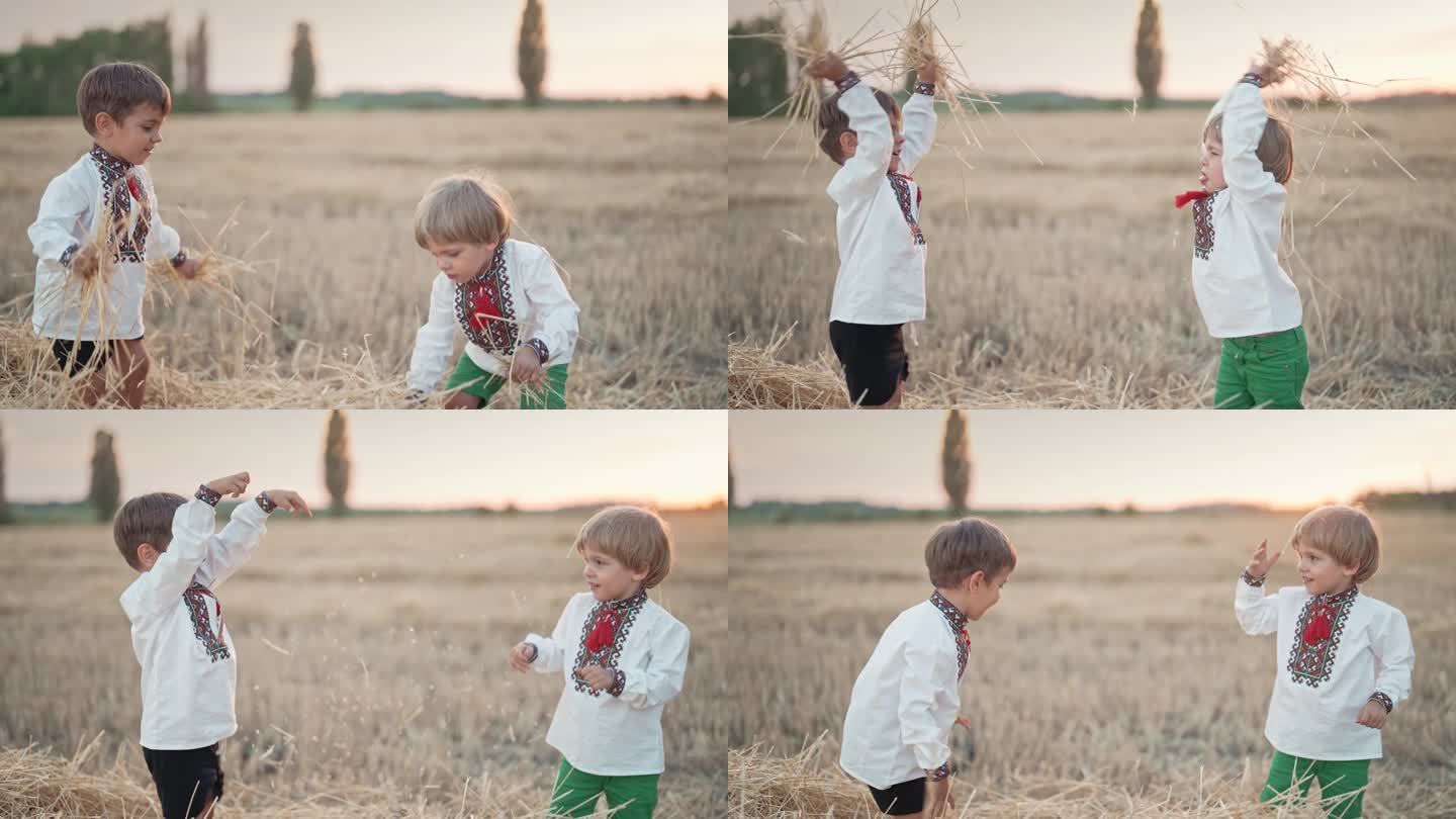 乌克兰的小孩在玩干草，把它扔了。快乐的童年。收获后在麦田里欢笑的男孩们。
