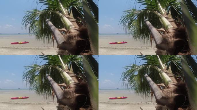 股票视频海滩海棕榈皮艇