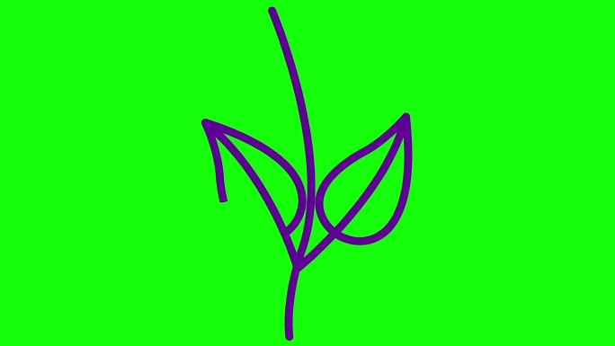 动画线性紫罗兰植物与叶子。树芽的图标。符号是逐渐画出来的。有机食品的概念，生态，农艺，收获。矢量插图