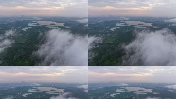 杭州西湖龙井茶山云海航拍