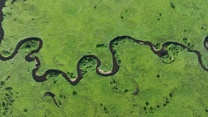 航拍内蒙哈乌尔森林湿地河湾
