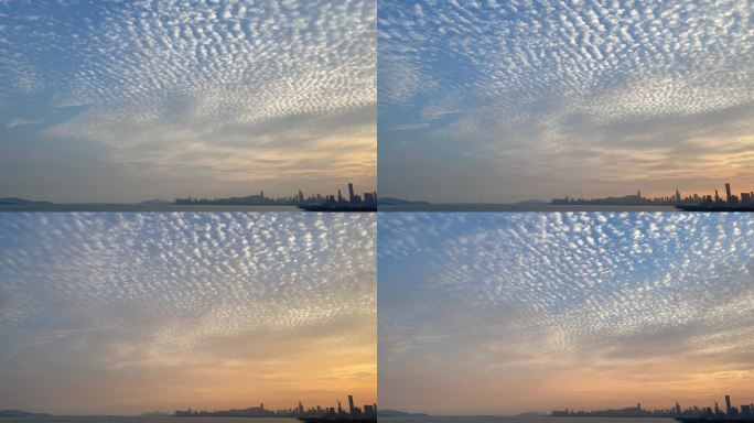 深圳湾公园晴朗天空 唯美黄昏 满天云朵