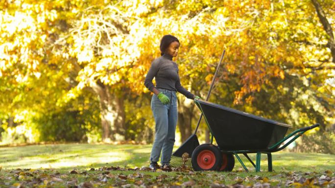 在花园里工作的妇女把秋叶扫进手推车
