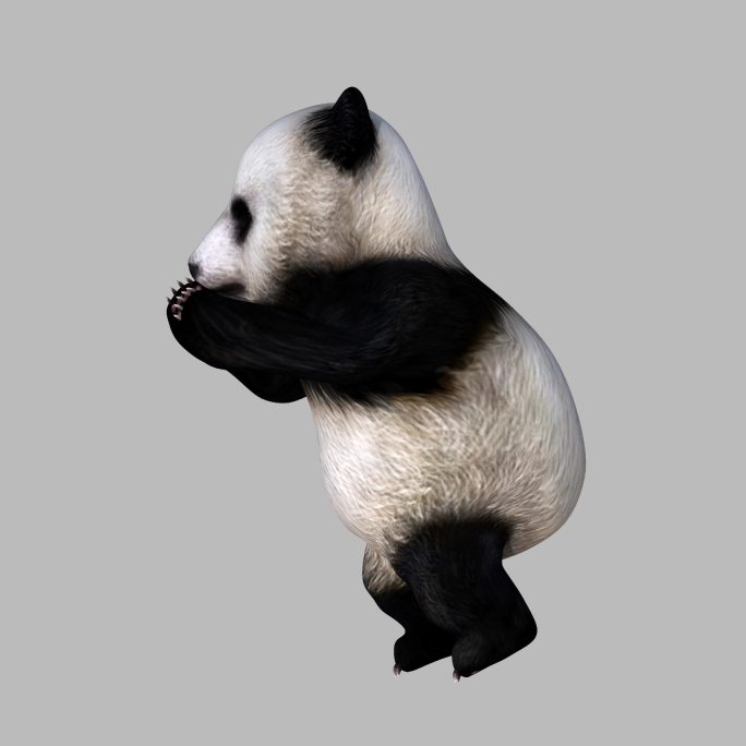 三维动画熊猫推东西动画序列帧透明底