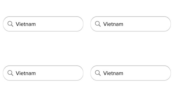 搜索栏动画白色与越南文本框搜索