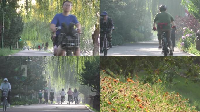 骑行河边公园绿色树林跑步锻炼河边公园休闲