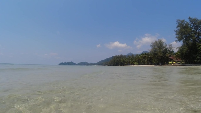 股票视频海滩海棕榈山