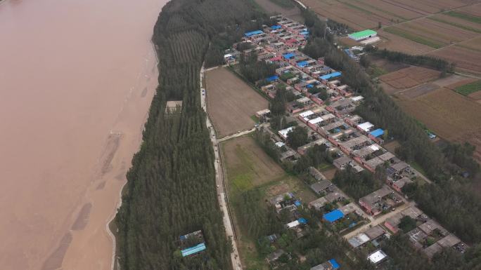 黄河平阴王小庄