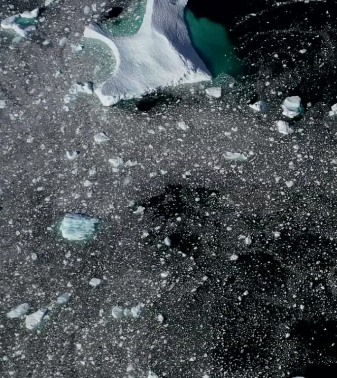垂直视频小冰和冰山在南极海洋的黑暗的水。