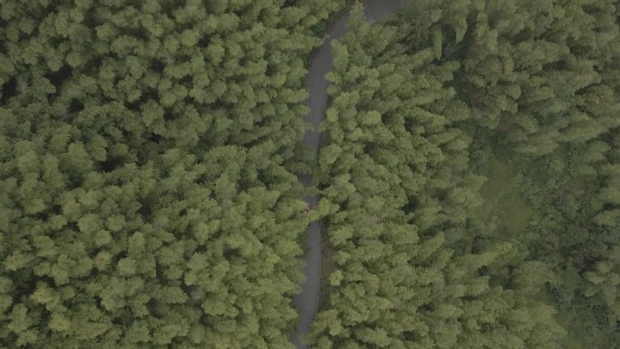 原创轿车穿越山林航拍