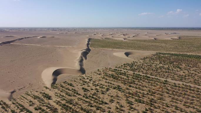 沙漠防风固沙人工林