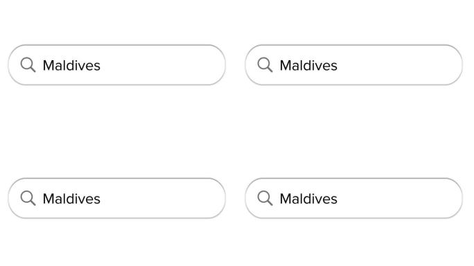 Www搜索栏图标与马尔代夫文本隔离在白色背景