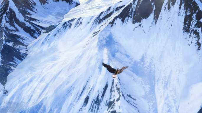 老鹰飞过雪山巅峰 4K