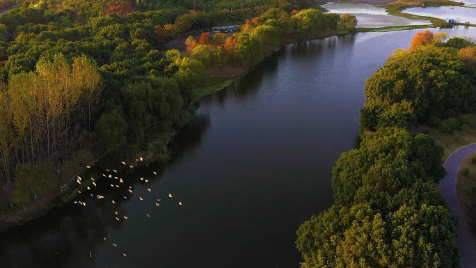 【4k原创】苏州虎丘湿地落日航拍