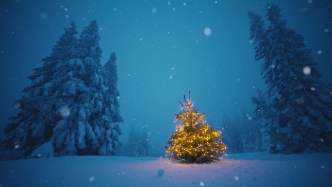 在白雪覆盖的森林里，圣诞树在户外闪闪发光