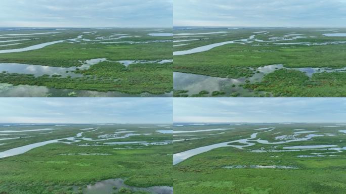 4k高清60帧航拍湿地大自然风光