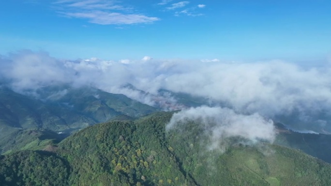 云海大山（模版）