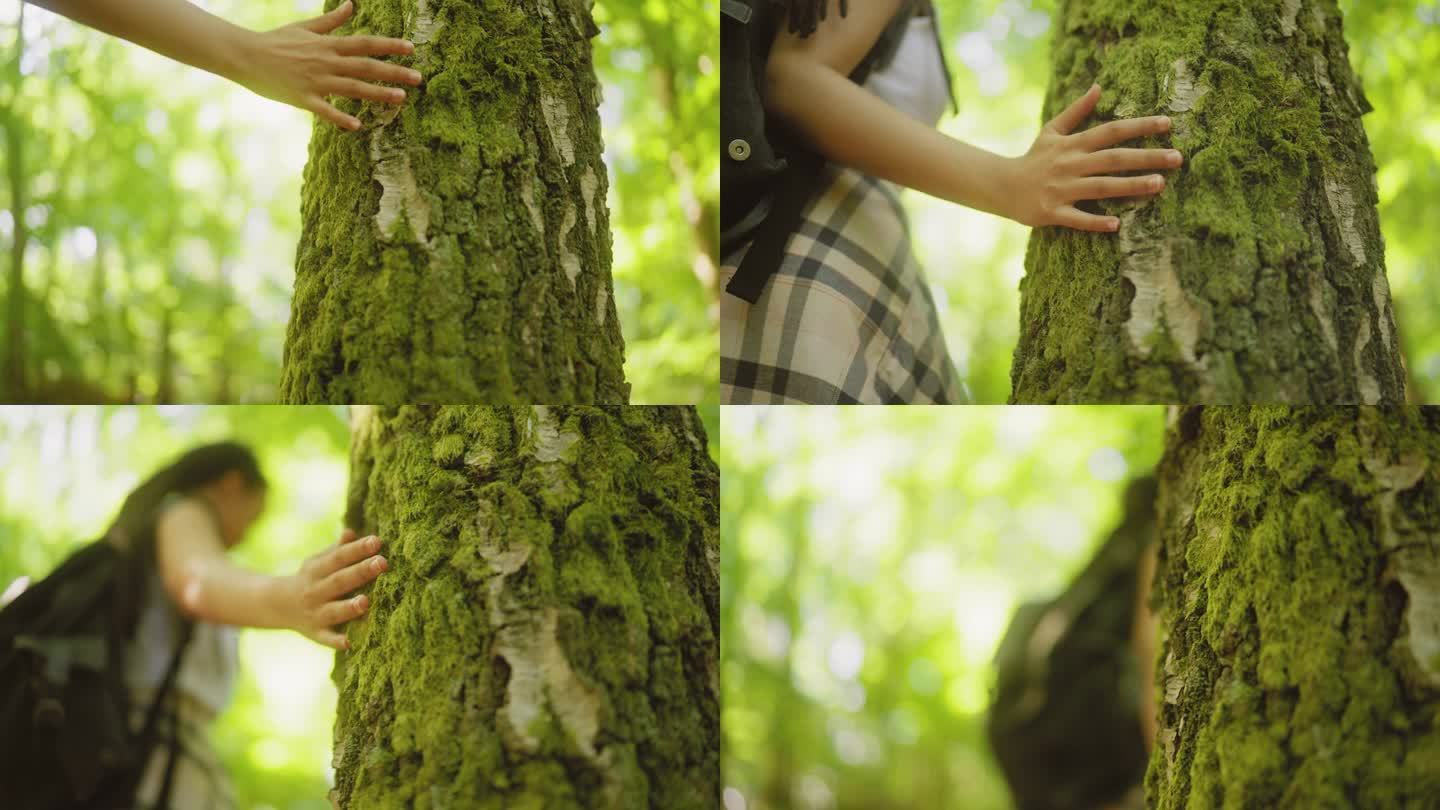 一只手抚摸着森林里的一棵树，一个女人走过
