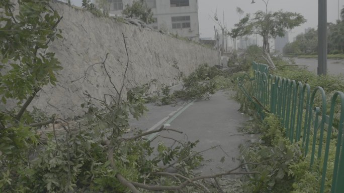 台风后的厦门重建工作