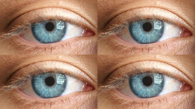 验光师检查瞳孔的宏观蓝眼、虹膜和视力，或为医疗保健使用隐形眼镜。特写肖像的人的眼球打开在视线，缩放和