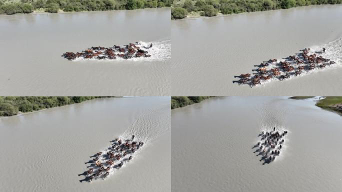 新疆昭苏湿地公园天马浴河航拍素材