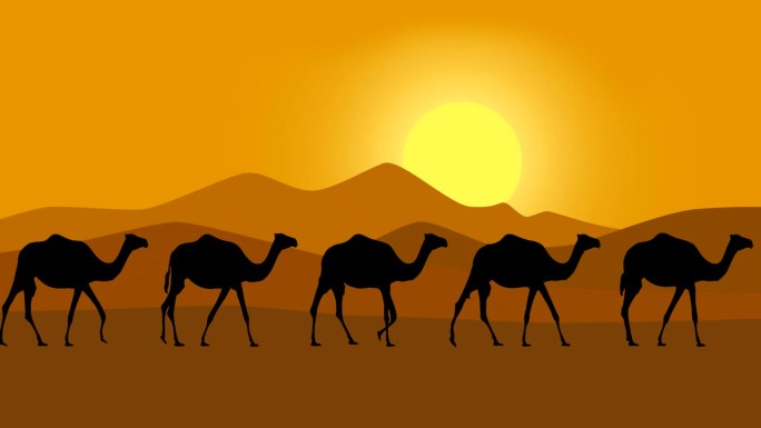 骆驼动画