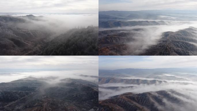 冬景雾凇云雾航拍镜头