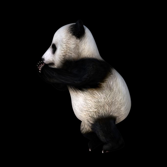 三维动画熊猫推东西动画视频素材透明底